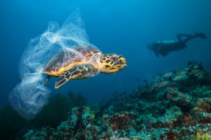 Plastik im Meer Schildkröte